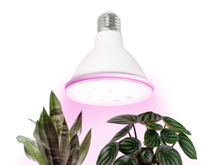 Żarówka do roślin LED PLANTY W 9W E27 1200K biała - 01.jpg