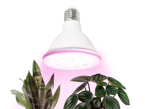 Przejdź do produktu Żarówka do roślin LED PLANTY W 9W E27 1200K biała