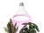 Żarówka do roślin LED PLANTY W 9W E27 1200K biała - 01.jpg