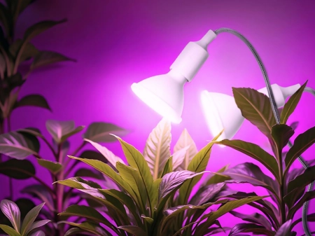 Żarówka do roślin LED PLANTY W 9W E27 1200K biała - 06.jpg