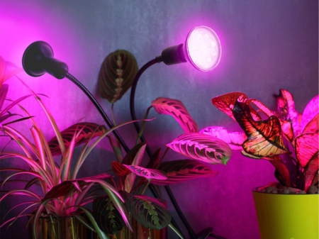 Żarówka do roślin LED PLANTY B 9W E27 1200K czarna - 05.jpg