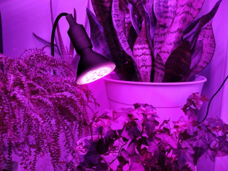Żarówka do roślin LED PLANTY B 9W E27 1200K czarna - 06.jpg