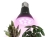 Żarówka do roślin LED PLANTY W 7W E27 1200K biała - 01a.jpg