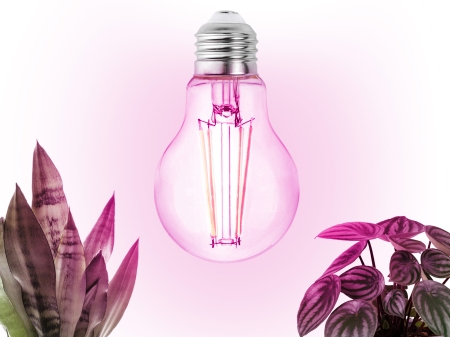 Żarówka do roślin LED PLANTY FGS 8W E27 1200K - 01.jpg