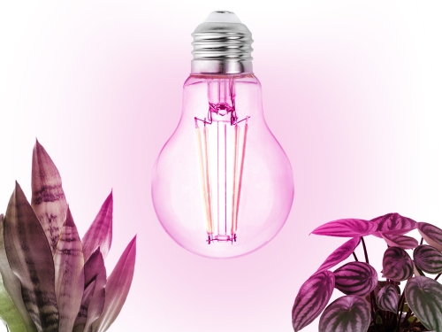 Przejdź do produktu Żarówka do roślin LED PLANTY FGS 8W E27 1200K