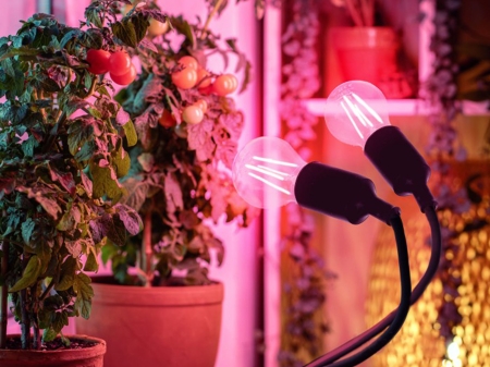 Żarówka do roślin LED PLANTY FGS 8W E27 1200K - 05.jpg