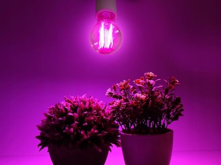 Żarówka do roślin LED PLANTY FGS 8W E27 1200K - 06.jpg