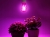 Żarówka do roślin LED PLANTY FGS 8W E27 1200K - 06.jpg