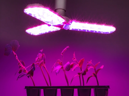 Żarówka do roślin LED PLANTY 24W E27 1200K - 06.jpg