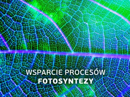 Lampa do roślin LED 02.jpg