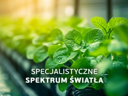 Lampa do roślin LED 01.jpg