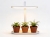 Lampa do roślin LED BLOOM 12W 4500K - 06.jpg