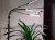 Lampa do roślin LED VITARO 4 ST 30W -- 02.jpg
