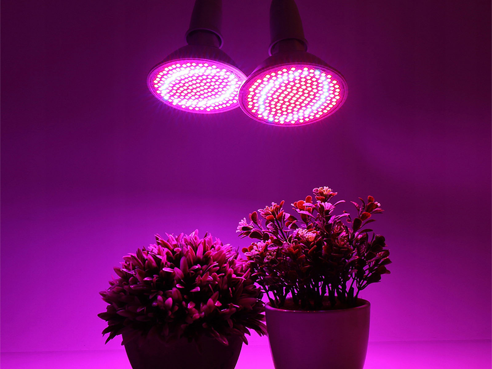Lampka biurkowa PLANTY CLIP B 1xE27 czarna - 05.jpg