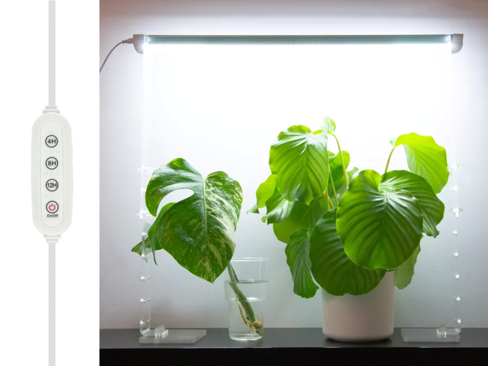 Przewód ze sterownikiem LED GROWLY PC 3m - 04.jpg