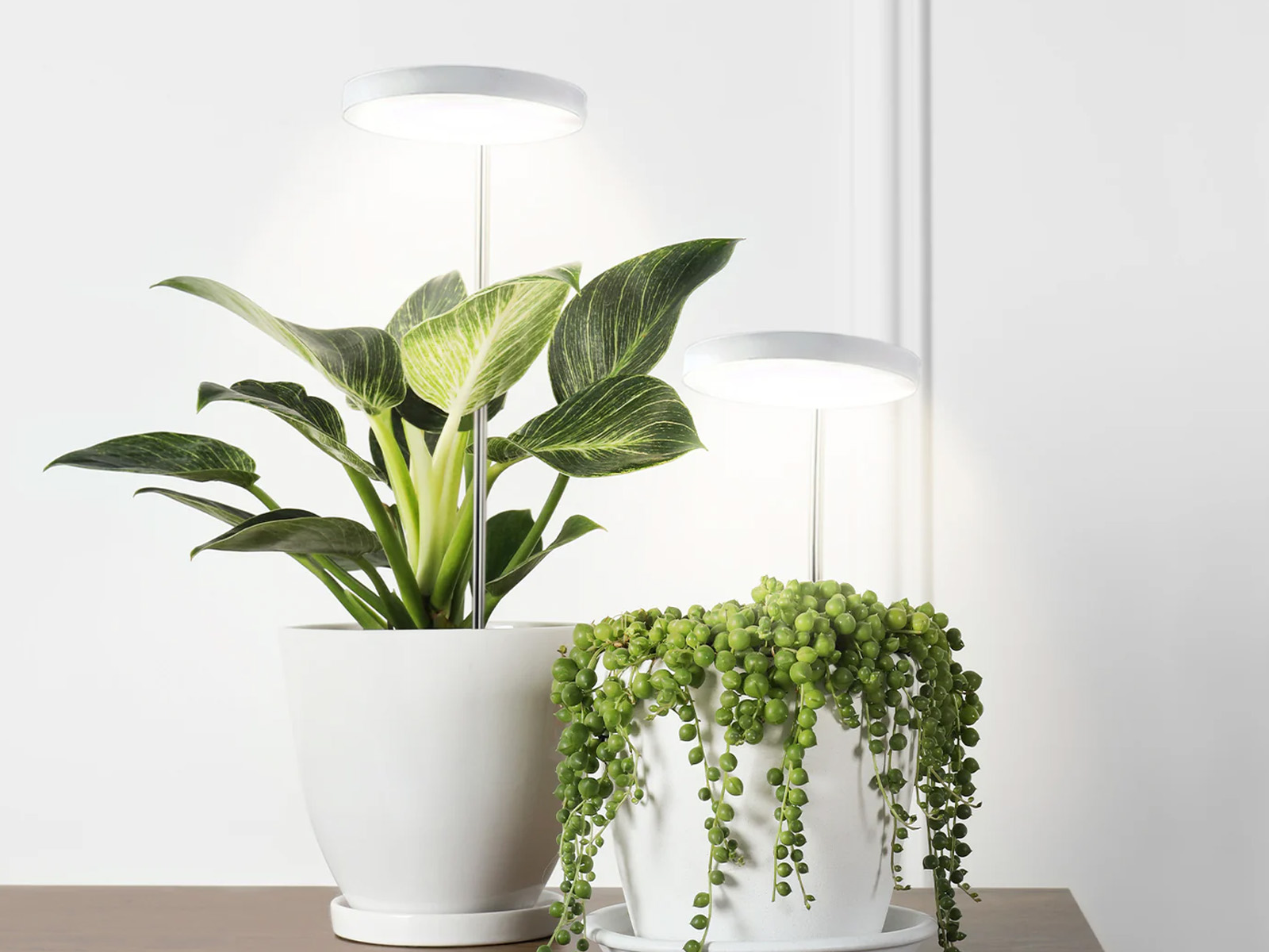 Lampa do roślin LED VERDI 10W 3200K - 05.jpg