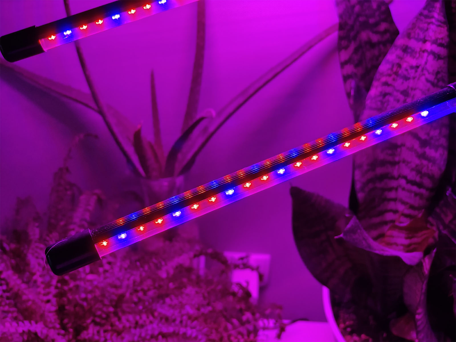 Lampa do roślin LED VITARO 3 CLIP 10W - 05.jpg